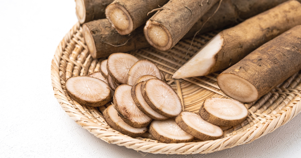 ごぼうの中が赤い？原因と安全性、プロが教える保存と活用レシピ