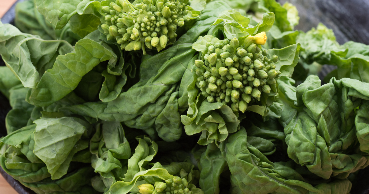 菜の花と菜花の違いから栄養、選び方、保存、絶品レシピまで完全ガイド