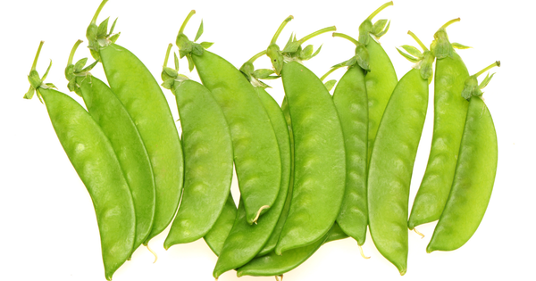 きぬさやとは？特徴・旬・栄養とおすすめレシピを紹介