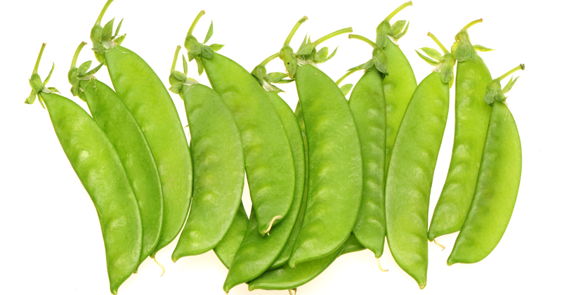 きぬさやとは？特徴・旬・栄養とおすすめレシピを紹介