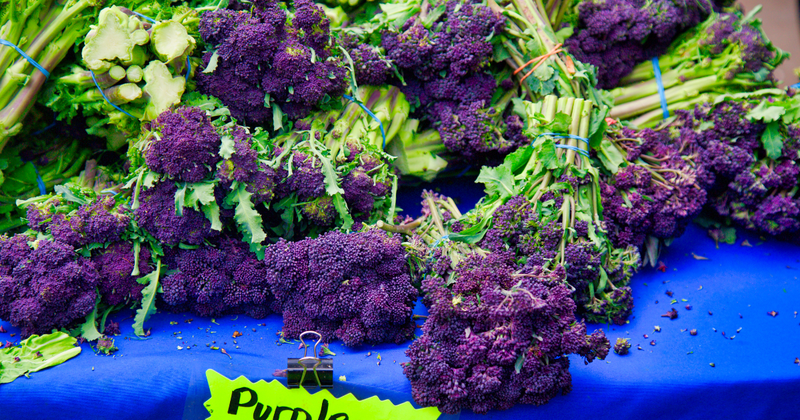 紫ブロッコリーと紫カリフラワー：違いを知って食卓を彩る