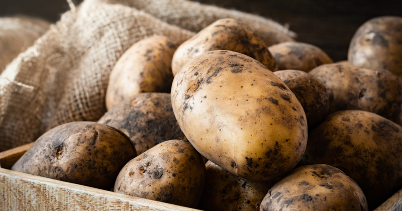 今が旬！じゃがいもの種類と選び方、保存方法を徹底解説