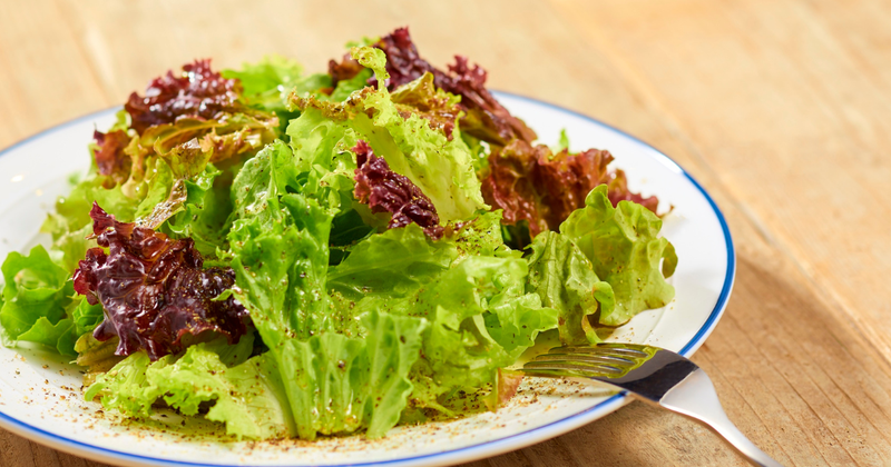 家庭菜園で簡単！サニーレタスの育て方：初心者でも失敗しない栽培ガイド