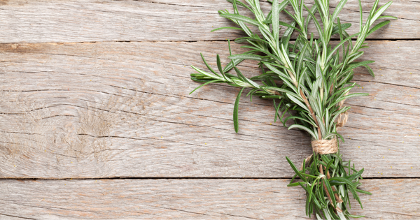 ローズマリーの効果：若返りのハーブがもたらす驚くべき効能