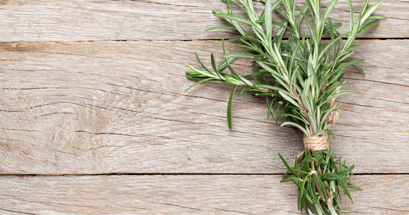 ローズマリーの効果：若返りのハーブがもたらす驚くべき効能
