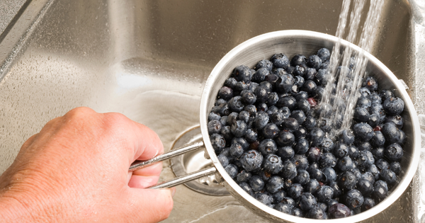 ブルーベリーの洗い方：新鮮さと栄養を保つ秘訣
