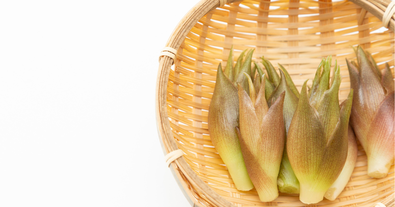 みょうがの旬： 育て方から収穫、保存方法まで徹底解説