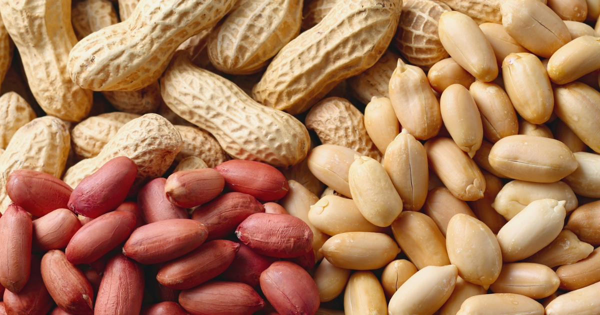 ピーナッツは本当に太る？ダイエットを成功させるための正しい知識と食べ方