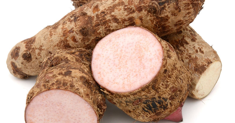 タロイモを味わい尽くす！多様な食べ方から栄養、栽培まで徹底解説