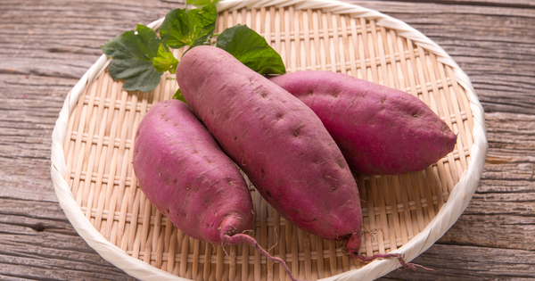 さつま芋図鑑：品種ごとの特徴を知って、もっと美味しく楽しむ！