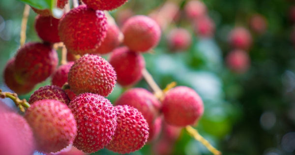 ライチ食べ過ぎ注意！適切な摂取量とリスク