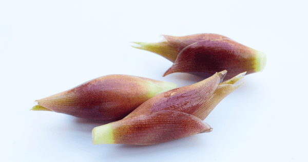 旬を味わう、茗荷の魅力と活用術