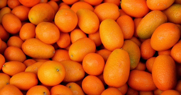 金柑ジャム：皮ごと贅沢に味わう、自家製レシピで旬を閉じ込めて