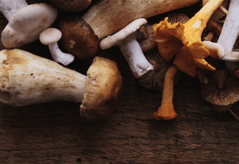 きのこの栄養徹底ガイド：健康効果から、調理法、選び方まで