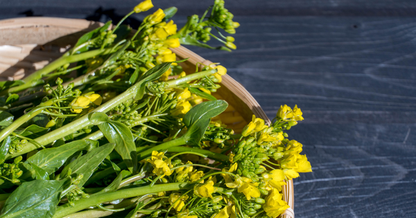 シャキシャキ食感！アスパラ菜の茹で方完全ガイド：プロが教えるおいしさの秘訣