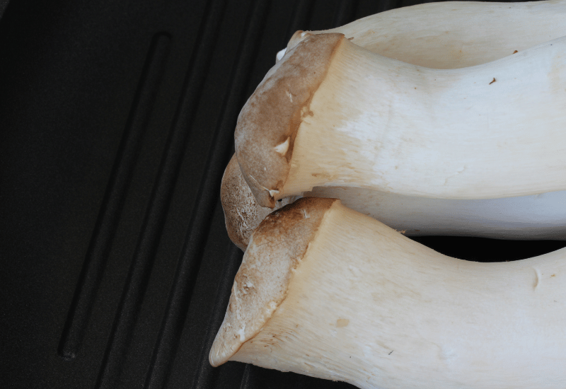 エリンギの知られざる栄養価：効果的な摂取方法