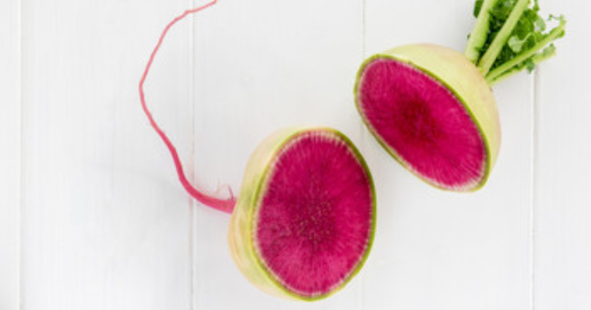 紅芯大根 食べ方