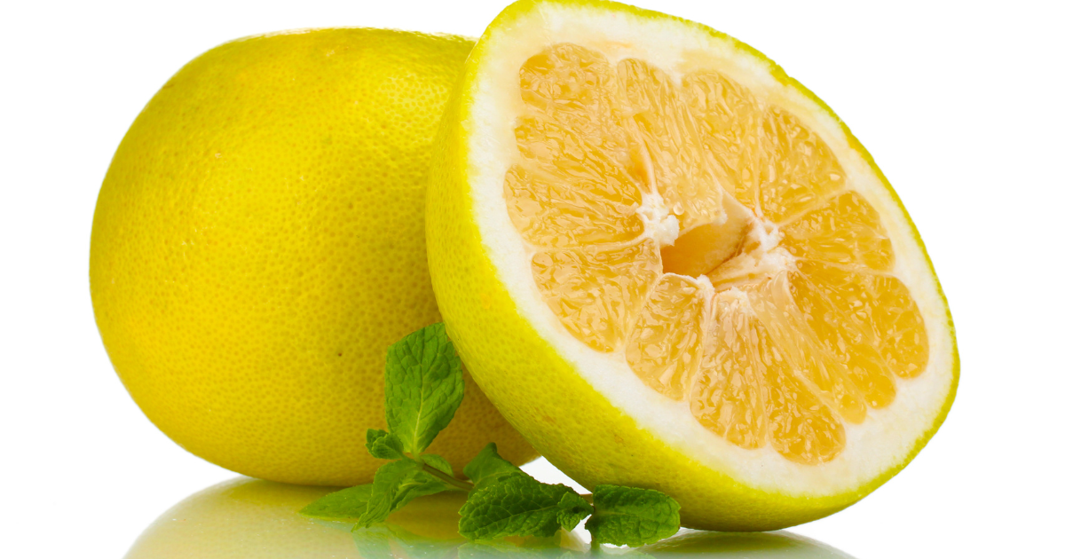 ジャクソンフルーツとは？新感覚グレープフルーツの魅力と秘密