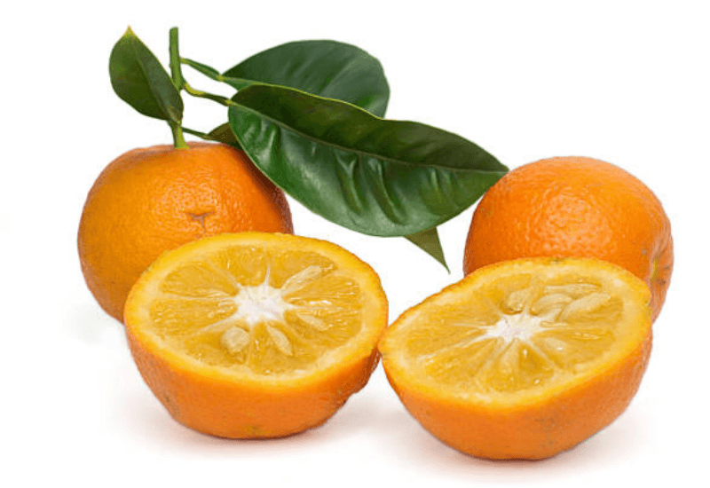 橙 食べ方 - スイーツモール