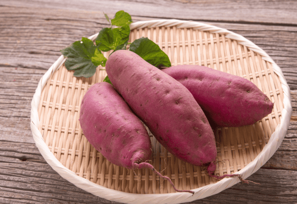 さつまいもは何科？アサガオとの意外な関係