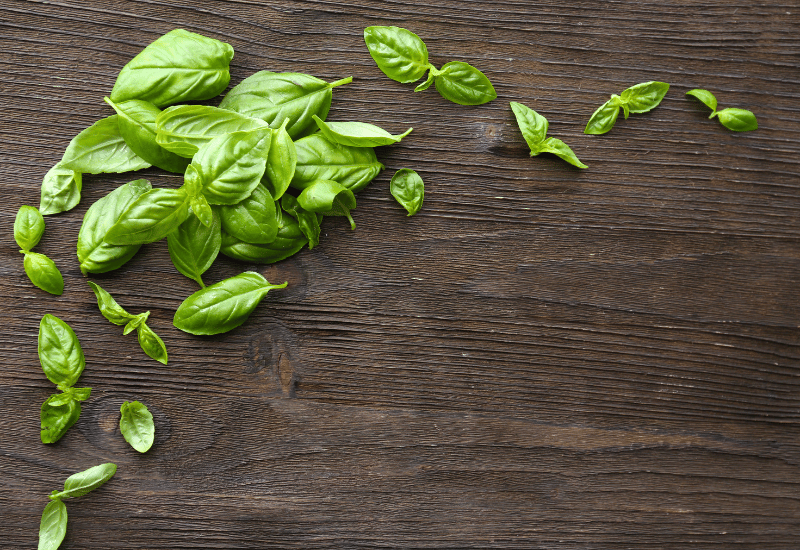 バジルの魅力：料理を彩る風味と健康効果