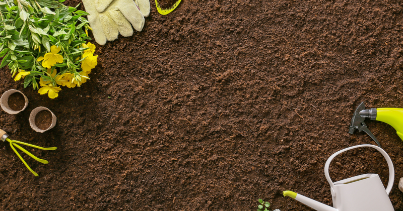初心者でも簡単！野菜の家庭菜園を始めるための完全ガイド