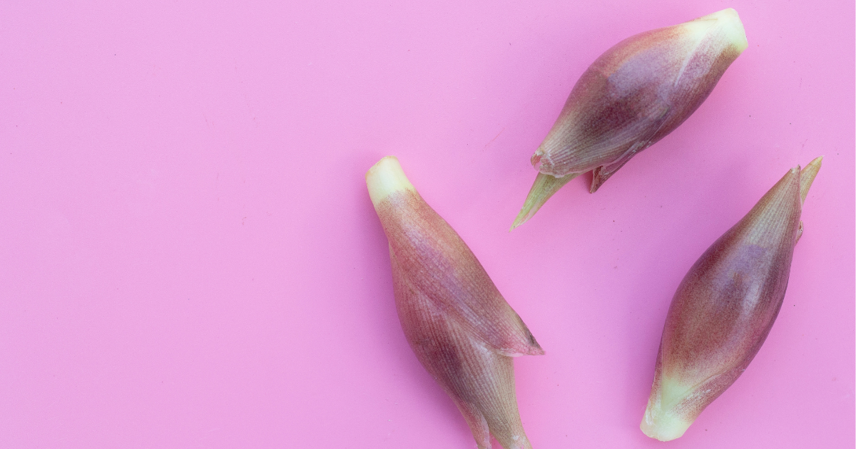 みょうが使い方