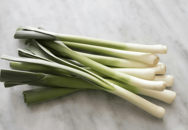 ネギの植え替え：葉を切る理由と最適な時期、成功のコツ