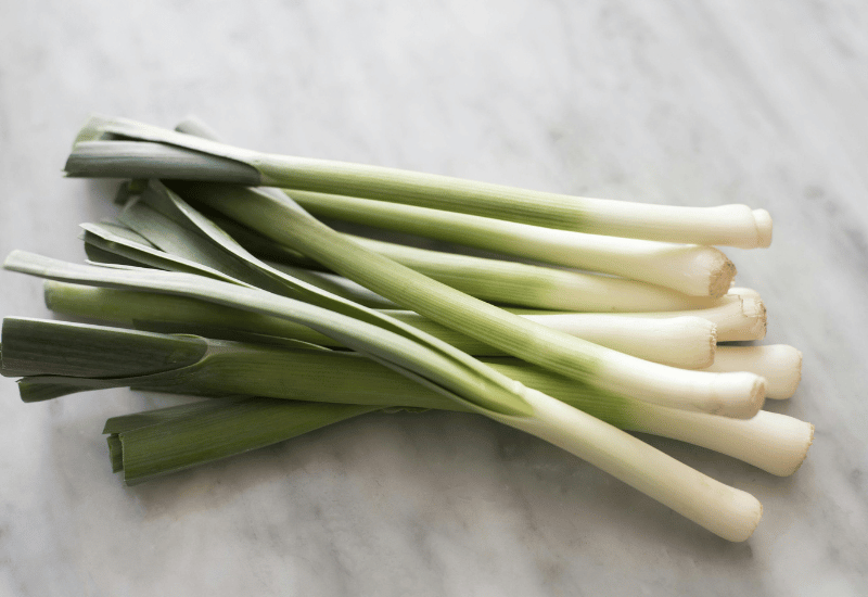 ネギの植え替え：葉を切る理由と最適な時期、成功のコツ