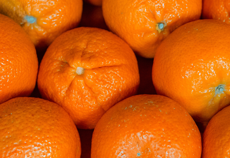 セミノールその濃厚な甘みと酸味の秘密：特徴・レシピを徹底解説