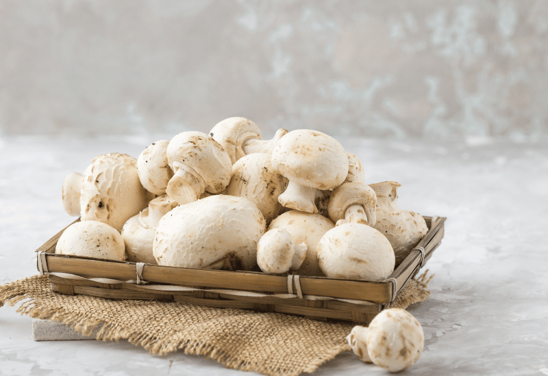 マッシュルーム旬：ブラウンとホワイトの違いから選び方まで徹底解説