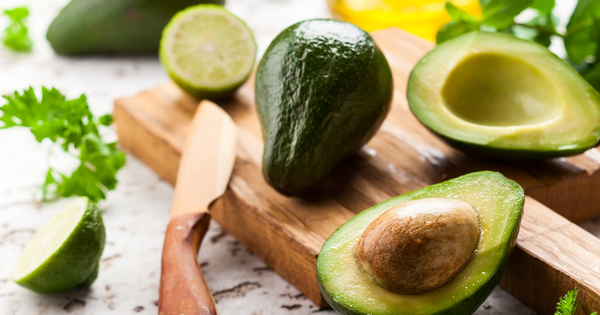 アボカドとは？森のバターと呼ばれる栄養満点の果実を徹底解説