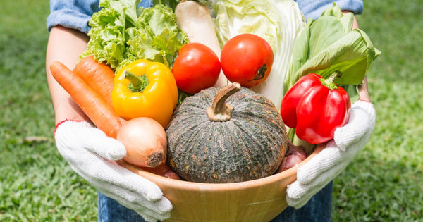 旬の野菜を味わう！おいしさと栄養を最大限に引き出す食卓術