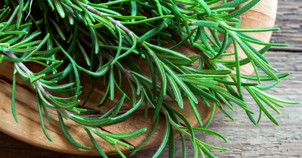 乾燥ローズマリーのすべて：自宅で楽しむ方法、保存、活用レシピ