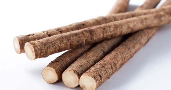 ごぼうの種まき時期：最適なタイミングと栽培のコツ