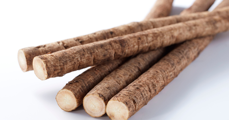 ごぼうの種まき時期：最適なタイミングと栽培のコツ