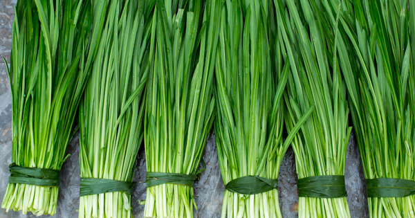 ニラの旬を徹底解説！栄養満点ニラを味わい尽くすための完全ガイド