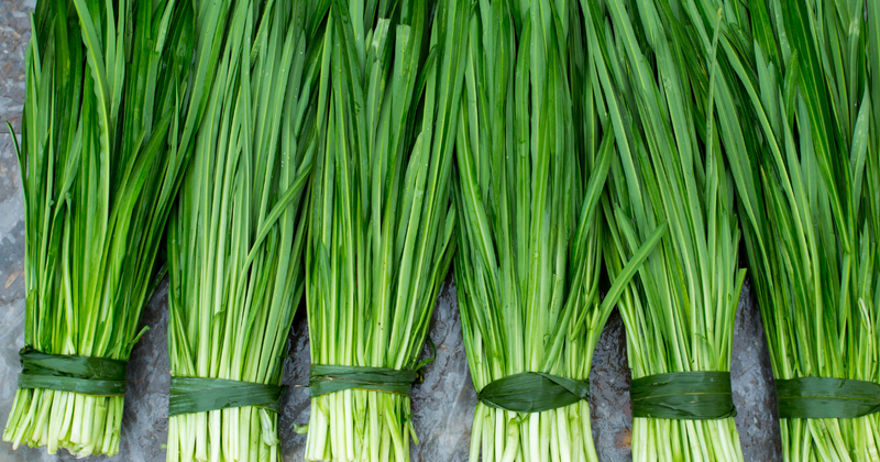 ニラの旬を徹底解説！栄養満点ニラを味わい尽くすための完全ガイド