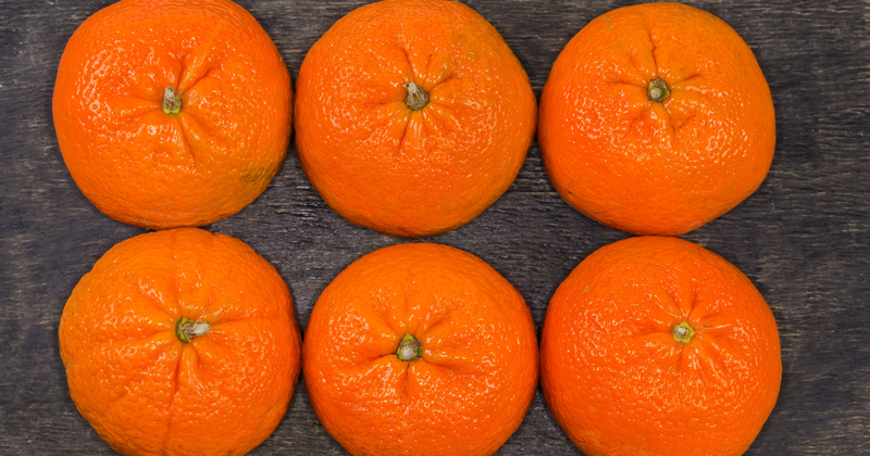 タンゴールとは？ミカンとオレンジの交雑種の特徴と選び方の注意点