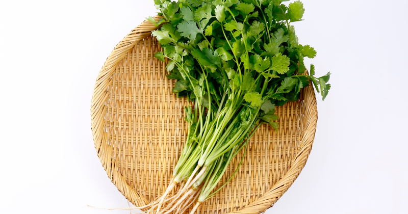 シャンツァイ（香菜）とは？パクチー・コリアンダーとの違いから活用レシピまで徹底解説