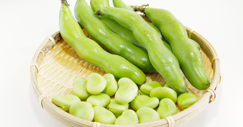 そら豆食べ過ぎで腹痛！？適量と注意点