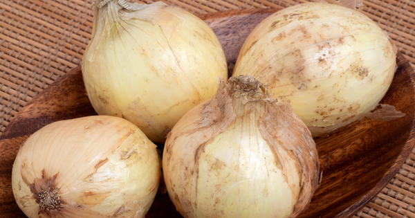 新玉ねぎの賞味期限を徹底解説！長持ちさせる保存方法と活用術