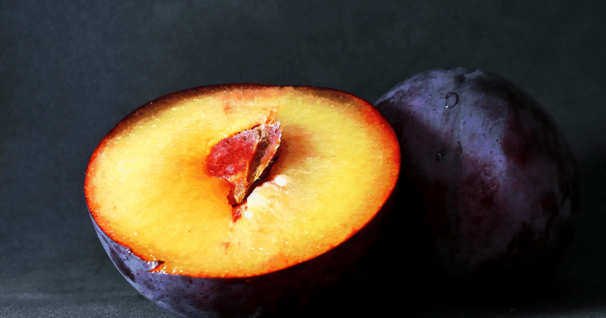 貴陽プラム：幻のスモモの魅力と味わい