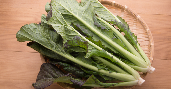 【徹底解説】高菜とは？品種、栄養成分、育て方から絶品高菜漬けの作り方まで