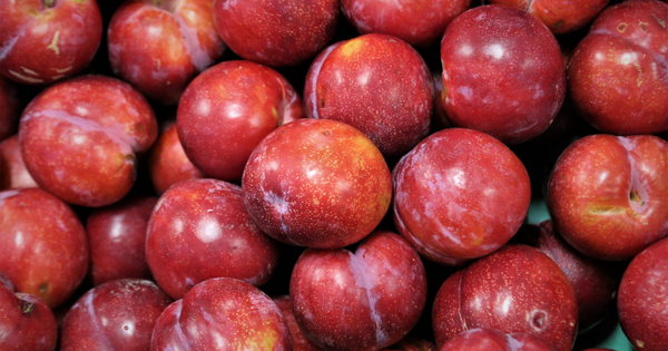 プラムの切り方完全ガイド：基本から応用レシピまで