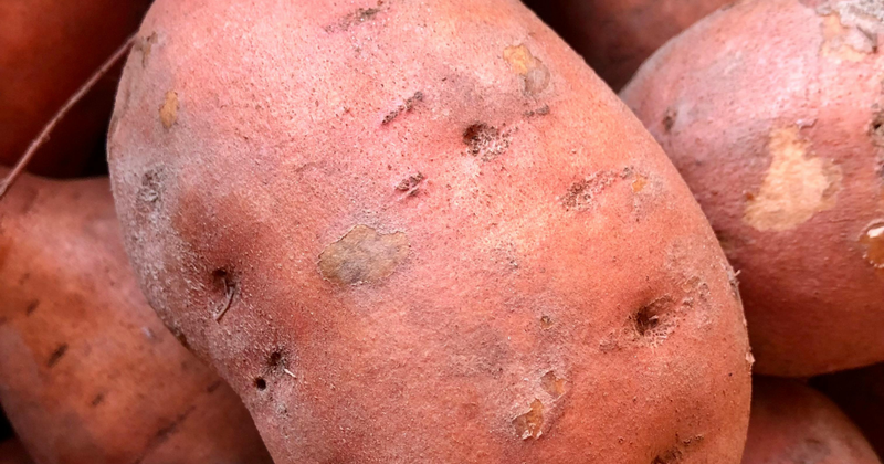 さつまいものアク抜き完全ガイド：理由、方法、時短テクニック、離乳食の注意点まで