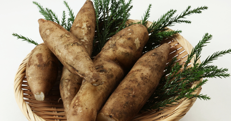 ヤーコンの効能と活用術：美味しさ、栄養、健康効果を徹底解説！