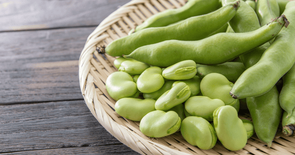 【旬を味わう】そら豆：新鮮さを見極め、時期ごとの最適調理法で楽しむ