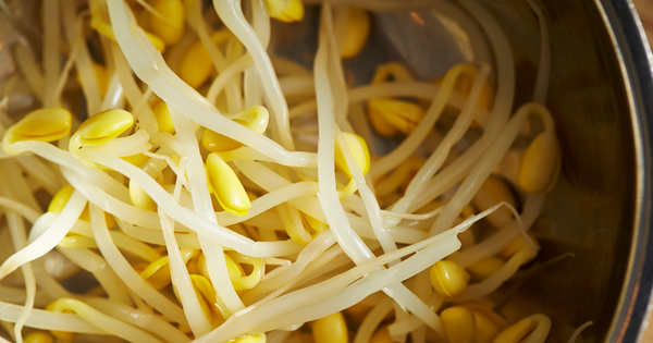 もやしの保存方法 冷凍