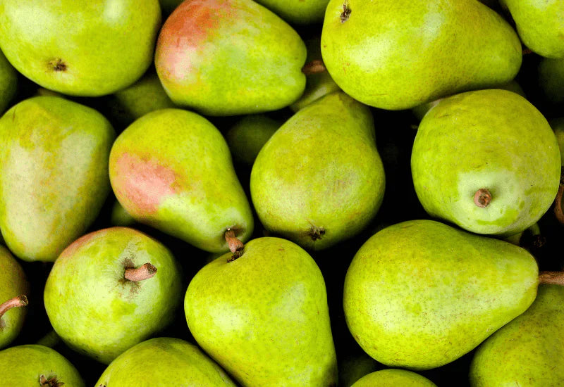 美味しい梨の見分け方